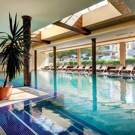 Festa Via Pontica 4* ポモリエ